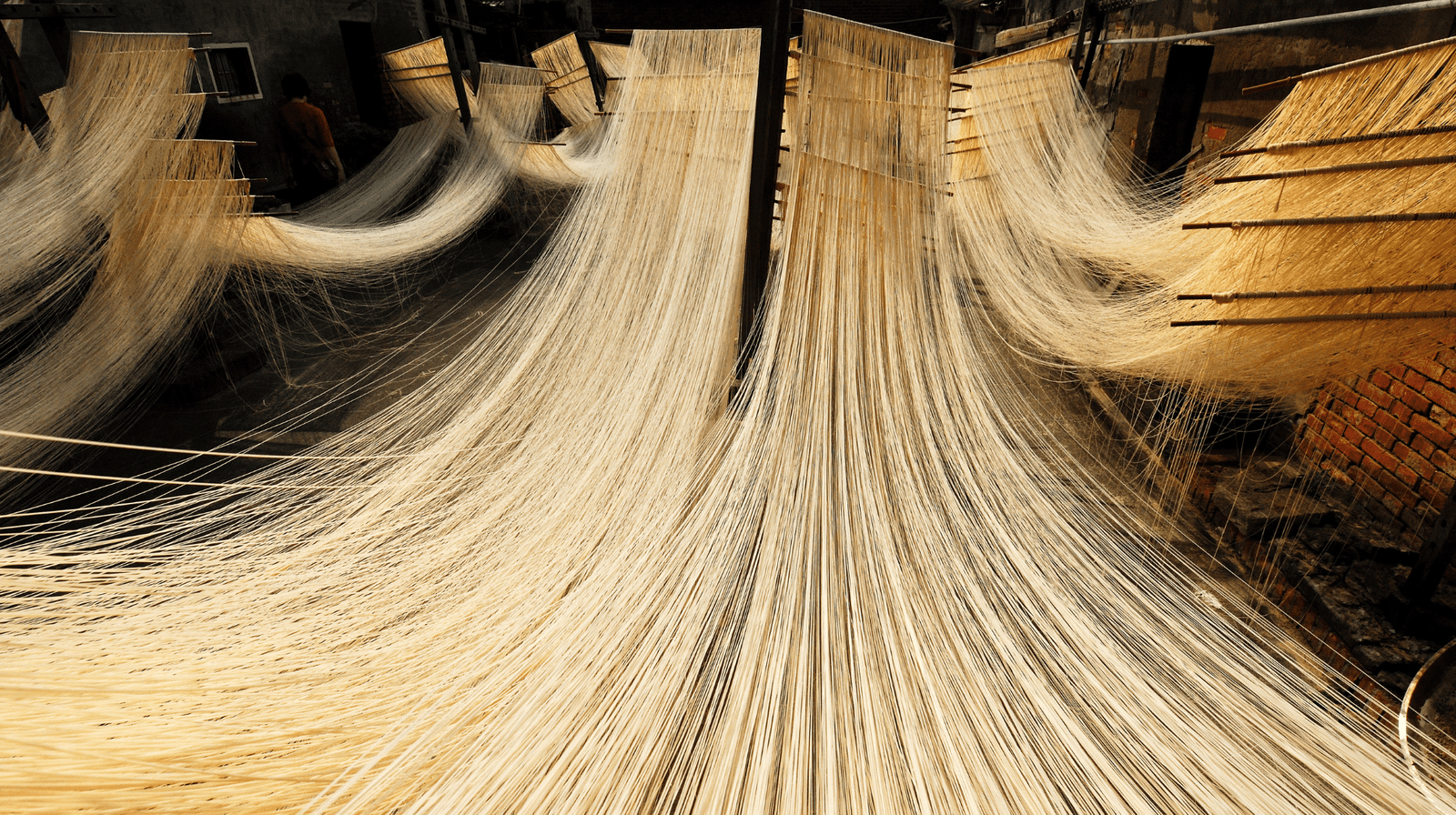 An image of Dry Konjac Noodles in the Process of Manufacturing