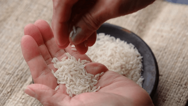 Hand holding a handful of uncooked konjac rice grains, with more rice in a bowl below.